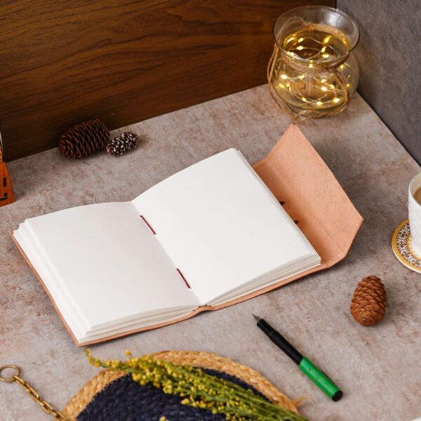 Diary - Image 2